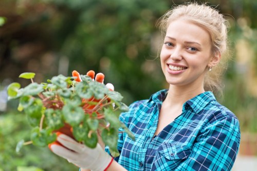 Healthy green lawn care in Romford garden