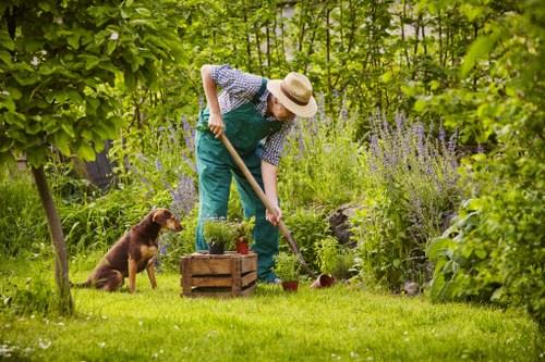 Romford gardeners trained in safe garden maintenance practices