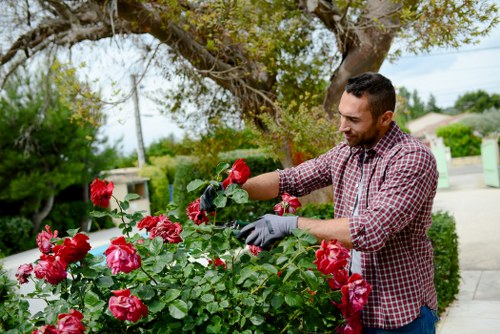 Professional gardeners in Romford maintaining seasonal borders