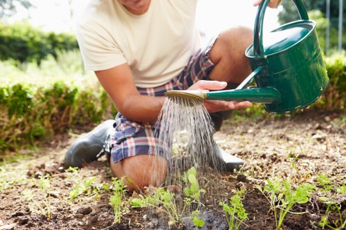 Trimmed hedges and cleared paths in a Romford garden
