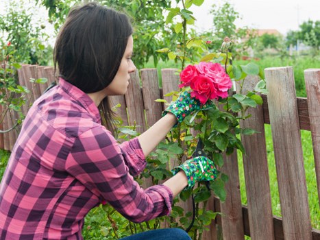 Lawn and border care by gardeners in Romford