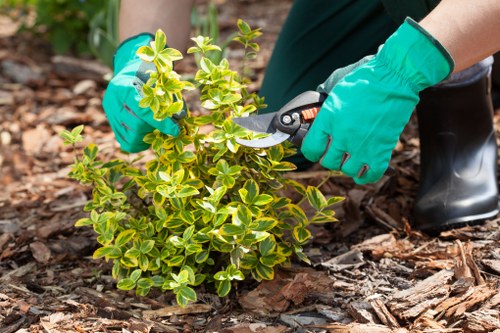 Protected payment methods for Romford garden services