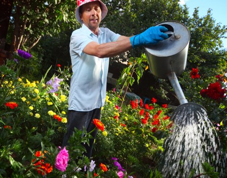 Garden hedge trimming work in Romford