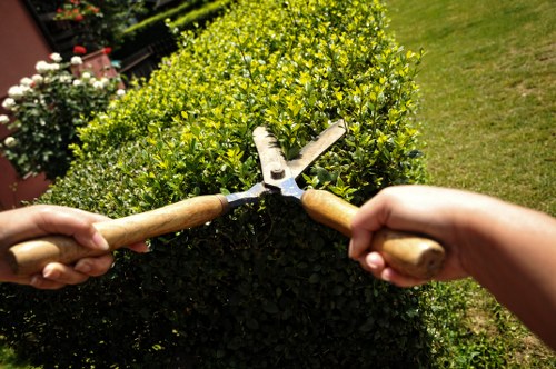 Experienced Romford gardeners improving a residential garden