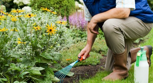 Professional gardening service following a health and safety policy