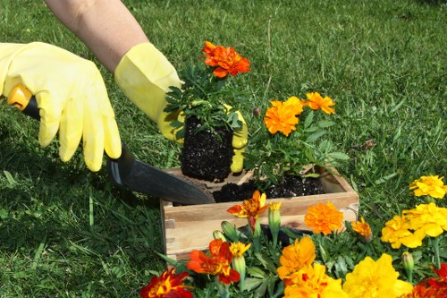 Professional Romford garden maintenance with weed control and border care