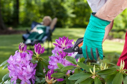 Supplier audit process for Gardeners Romford