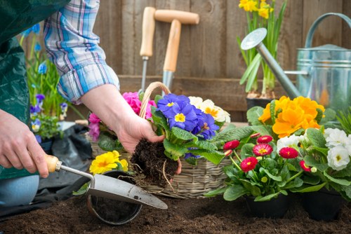 Seasonal gardening services in Romford for a well-kept backyard