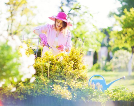 Formal investigation of a gardening complaint