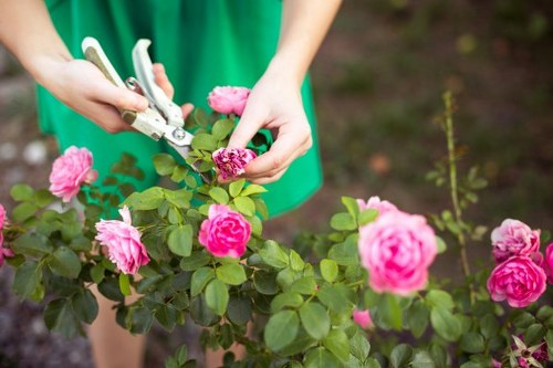 Professional gardeners in Romford following safety procedures
