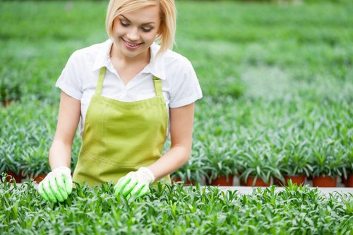 Lawn care and hedge trimming as part of garden maintenance in Romford