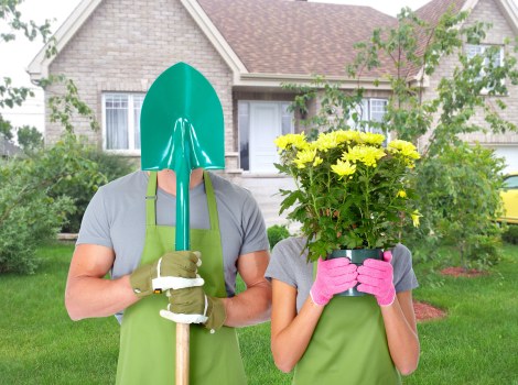 Safe tree removal and stump grinding service in Romford