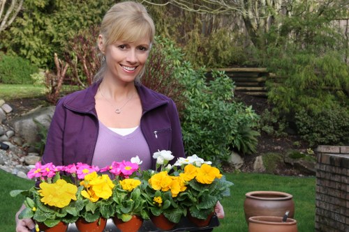 Professional garden maintenance in Romford with lawn and hedge care
