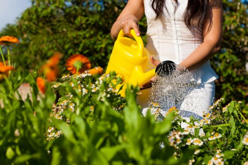 Charity donation items set aside during a garden clearance