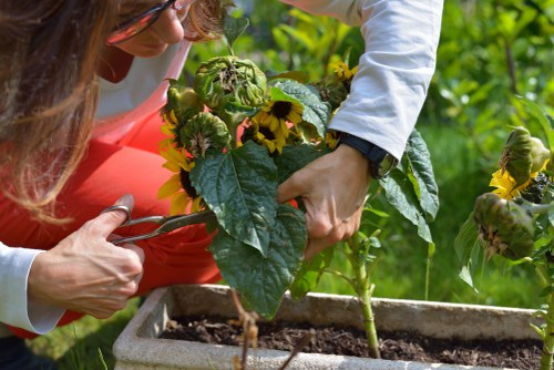 Recycling and reuse work supporting greener garden maintenance