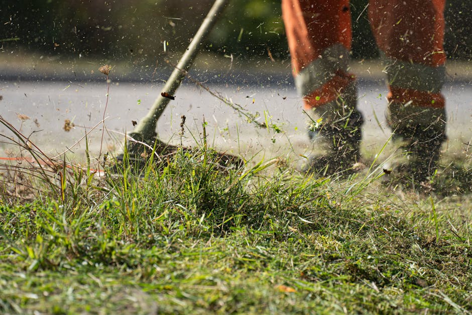 A gardener from Gardeners Romford is trimming a dense, vibrant green hedge with long-handled pruning shears. The hedge is lush, with small, glossy leaves and light pink flowers blooming among the foli